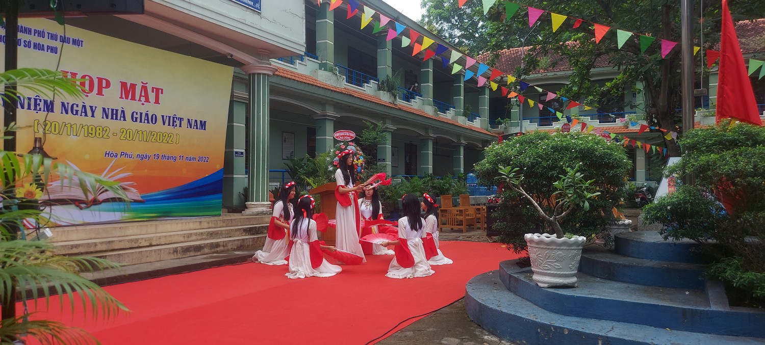 vn3