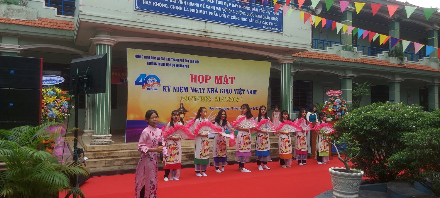 vn4