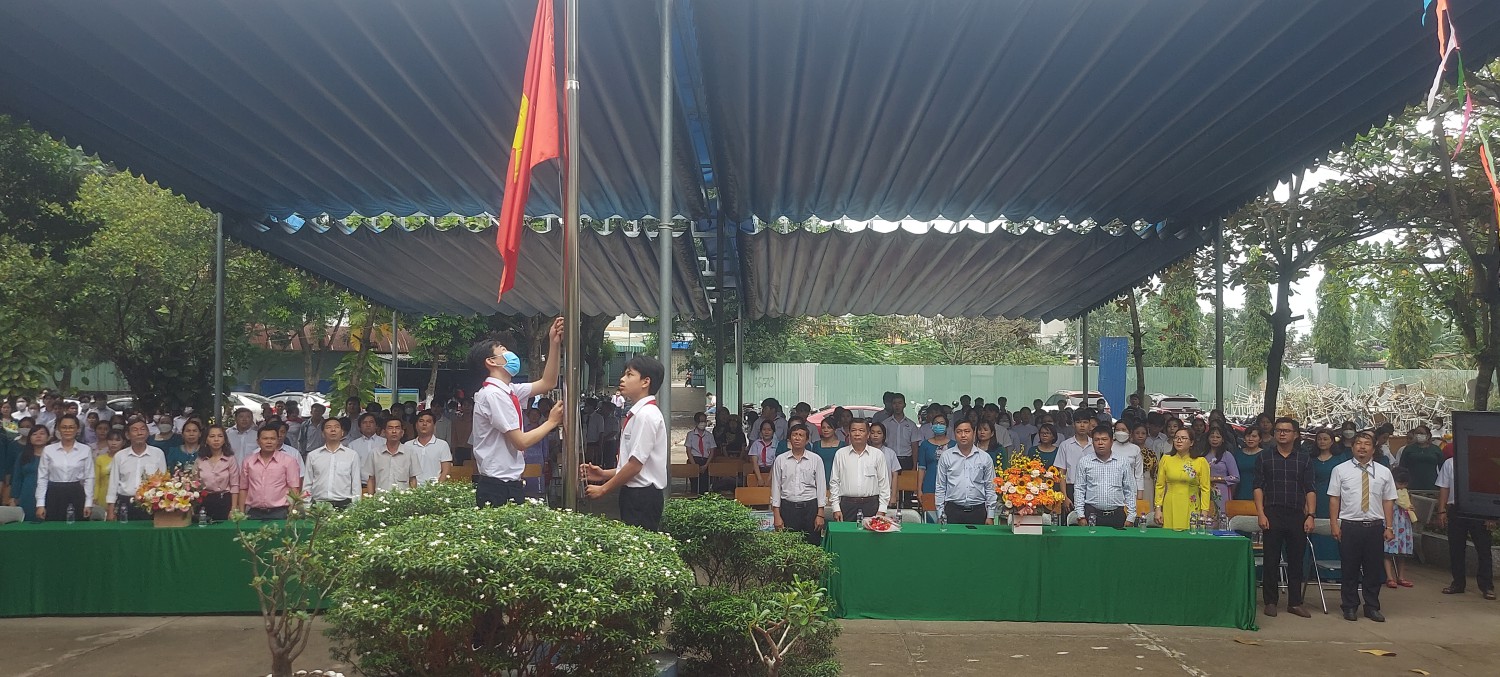 vn6
